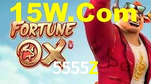 Premium Interface 5555Z